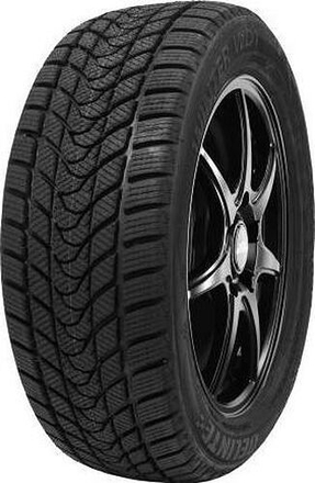 Delinte Winter WD1 185/65 R15 T88