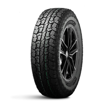 Double Star W01 225/75 R16 Q103/100