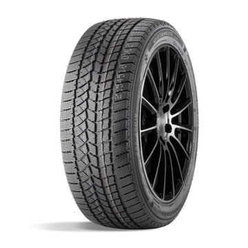 Double Star DW02 175/65 R14 T82