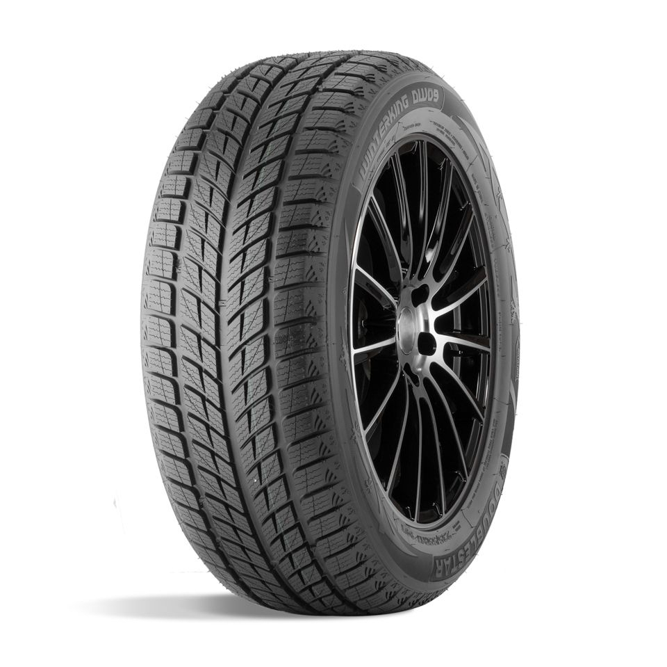 DoubleStar DW09 225/45 R18 T95